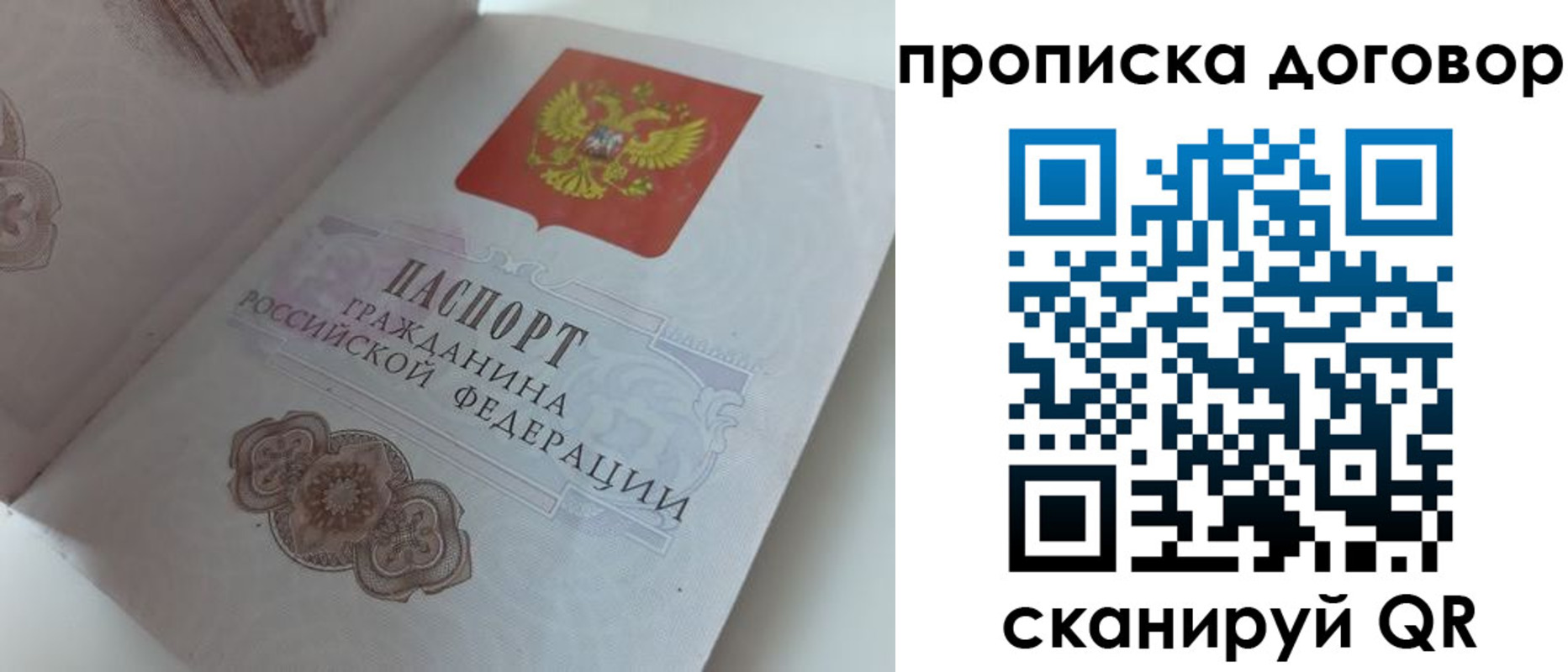прописка поиск в Опочке