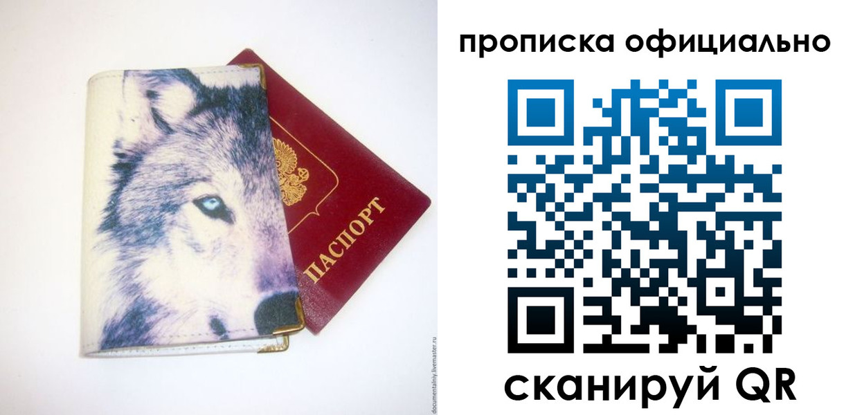 временная регистрация гарантия в Опочке